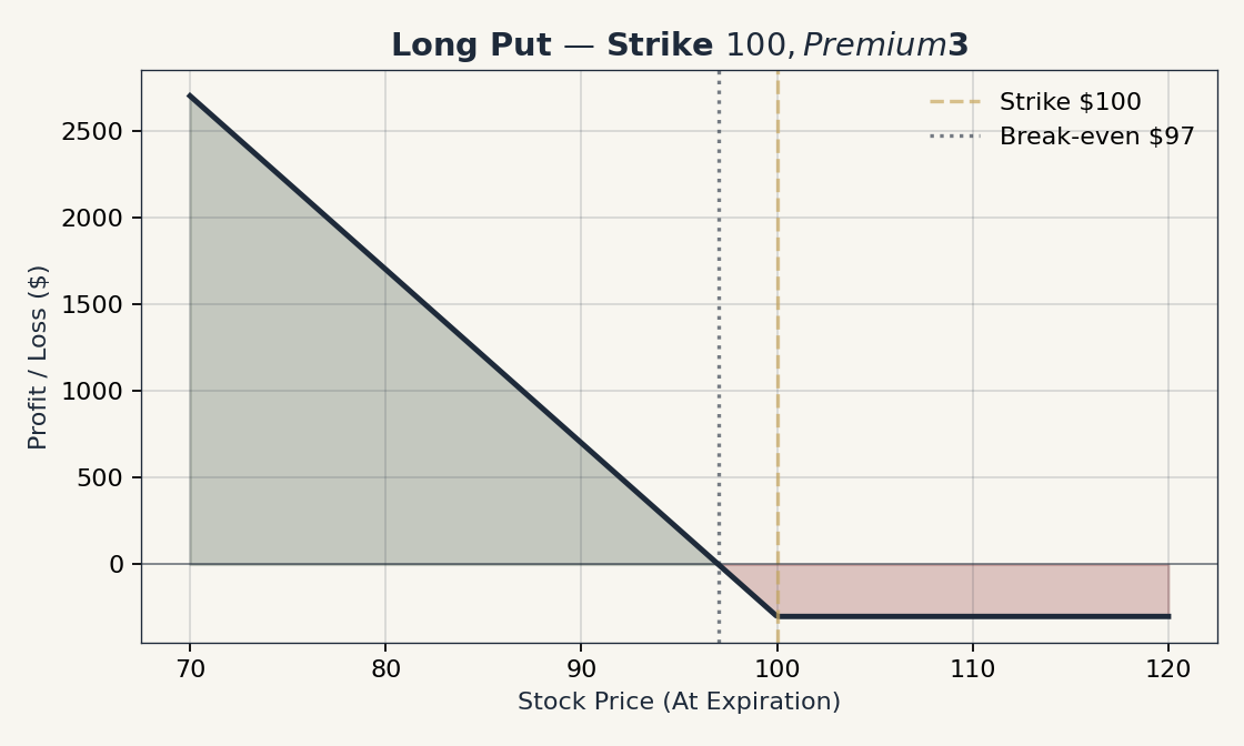 Long Put Payoff